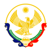 Министерство труда и социального развития  Республики Дагестан